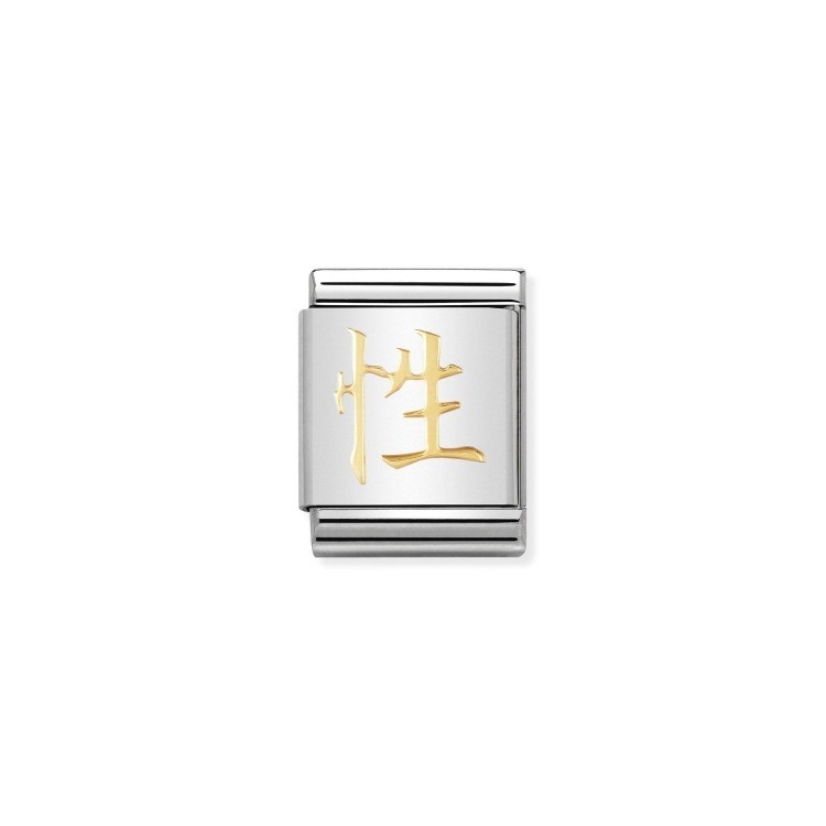 Звено Nomination Chinese Symbols из стали
