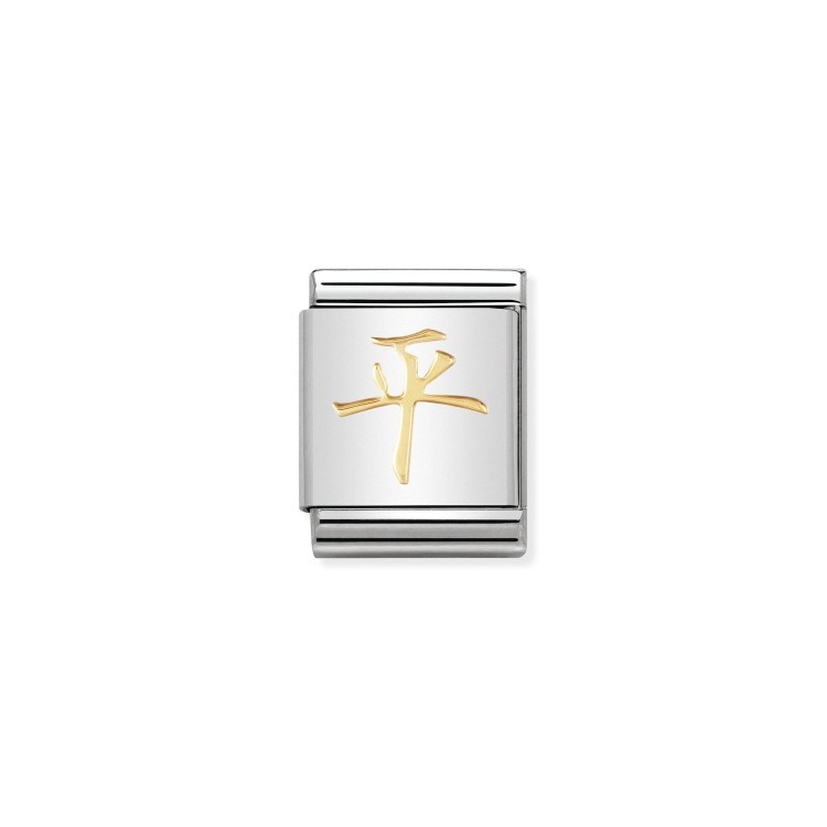 Звено Nomination Chinese Symbols из стали
